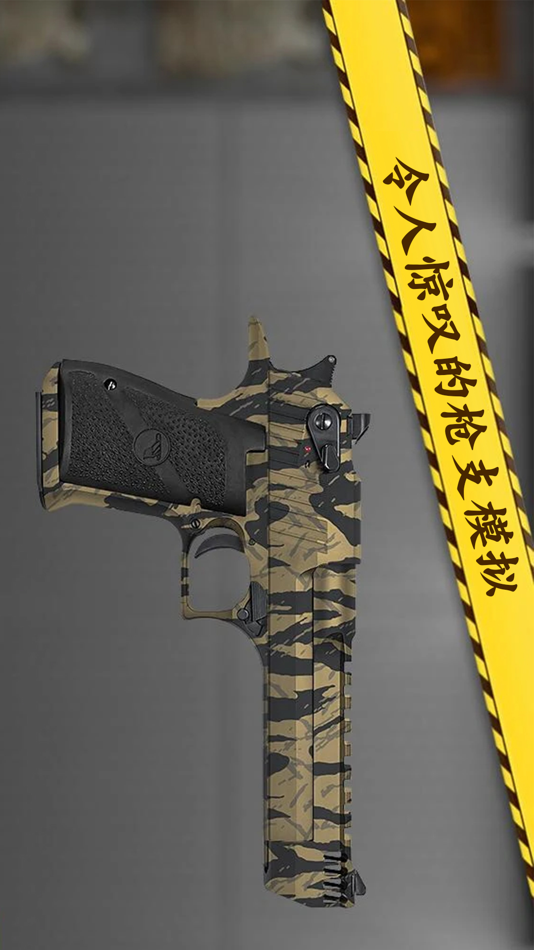 真实枪械武器模拟器图2