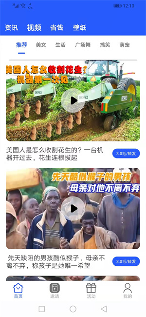 海豚转图4
