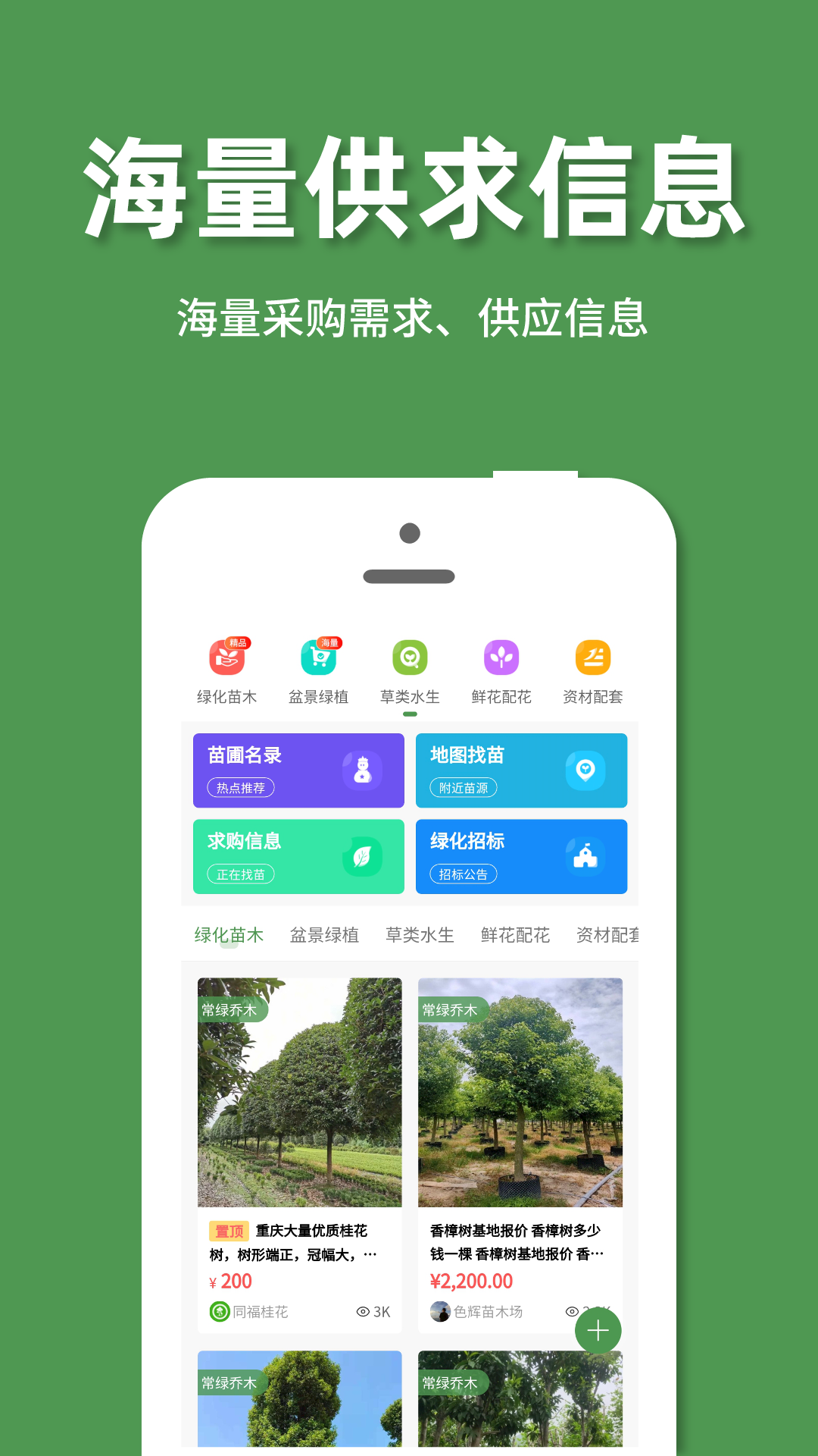 好苗木图4