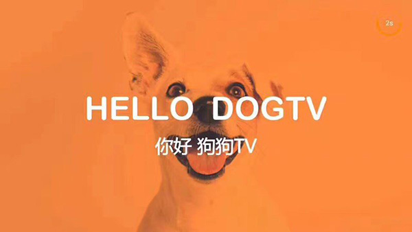 狗狗TV图1