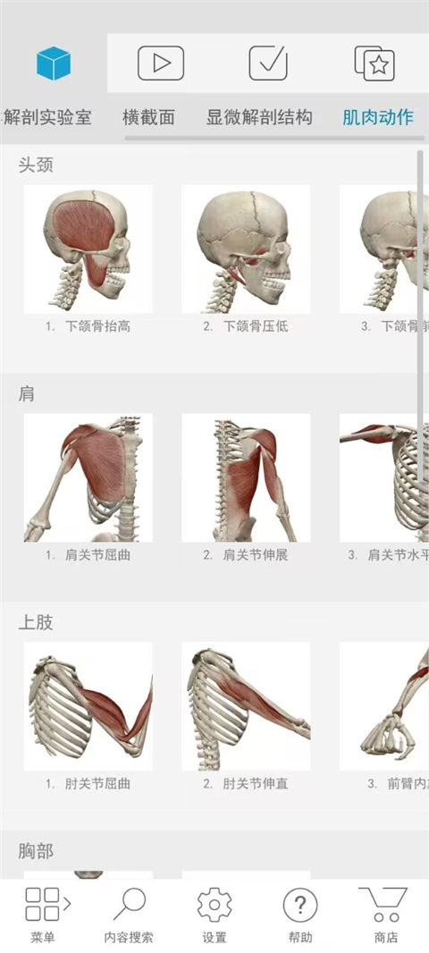 atlas人体解剖软件2025图2