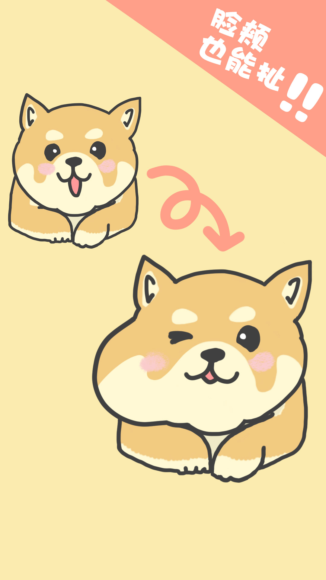 狗狗的屁股图2