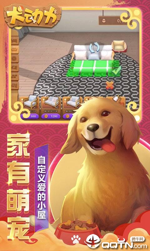 犬动力图3