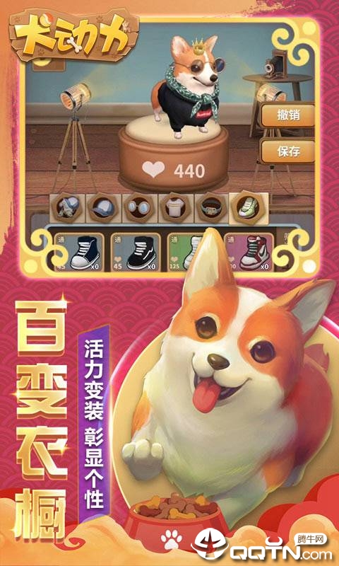 犬动力图4