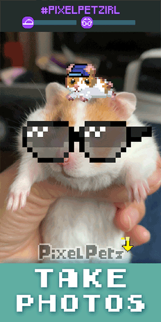 像素萌宠官方正版图1