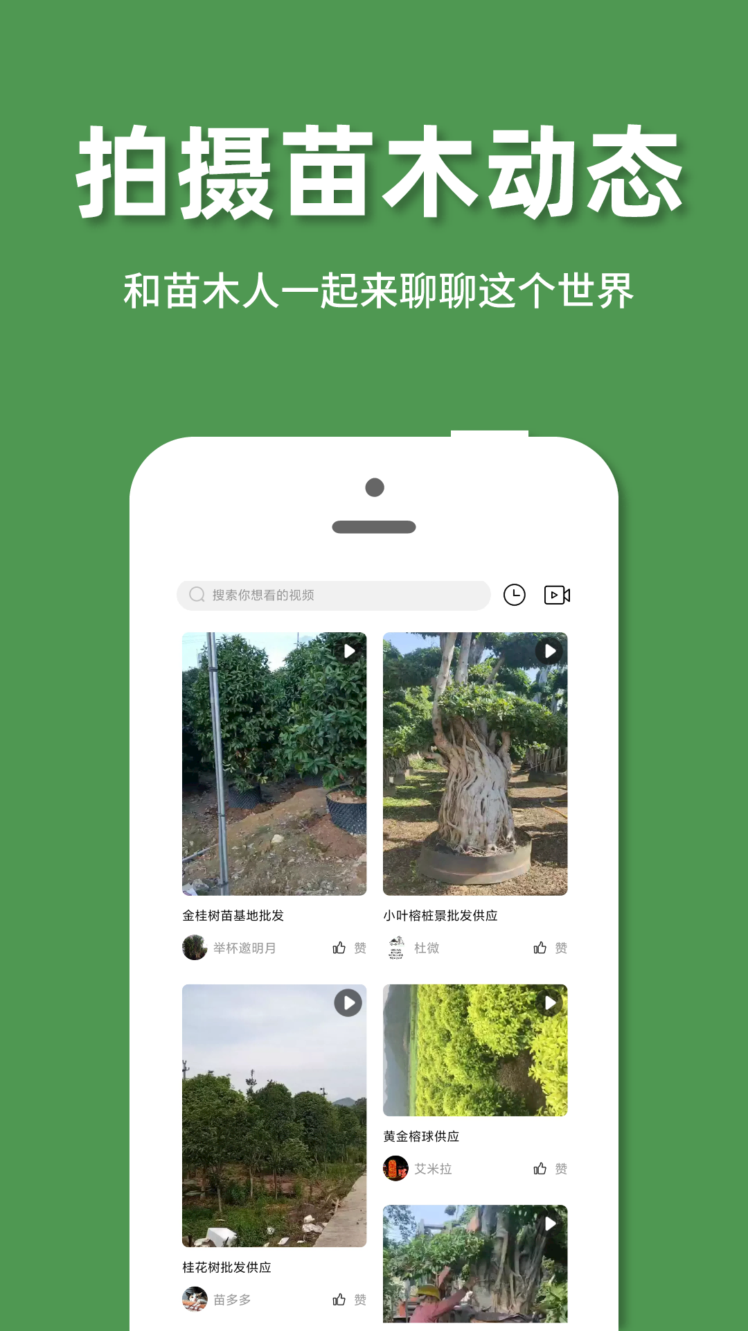好苗木图2
