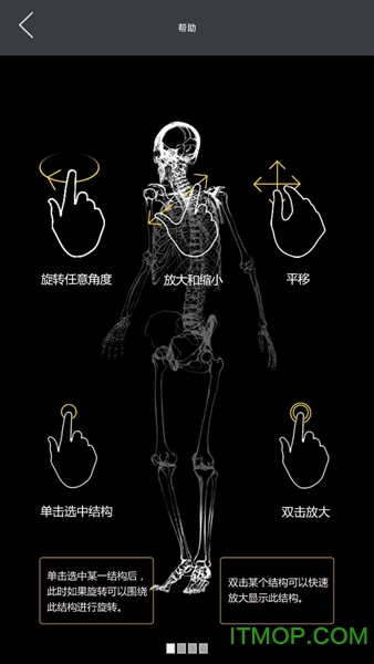 3Dbody解剖中文版图2