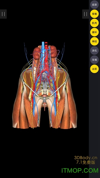3Dbody解剖中文版图4