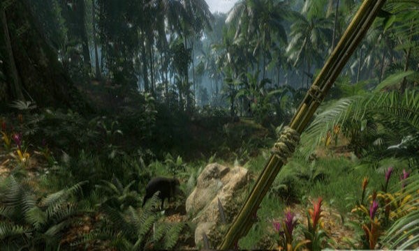 绿色森林地狱生存Forest of Green Hell Guide图4