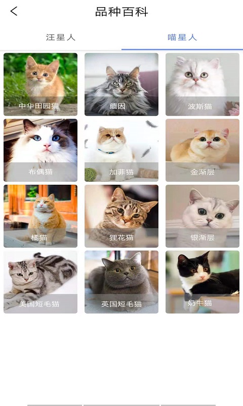 优宠快报图3