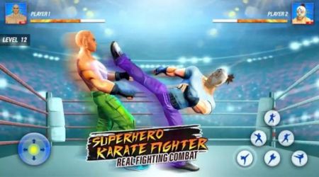 超级英雄卡拉特战士Superhero Karaty Fighter图1