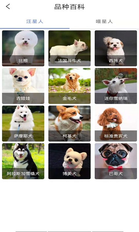 优宠快报图4