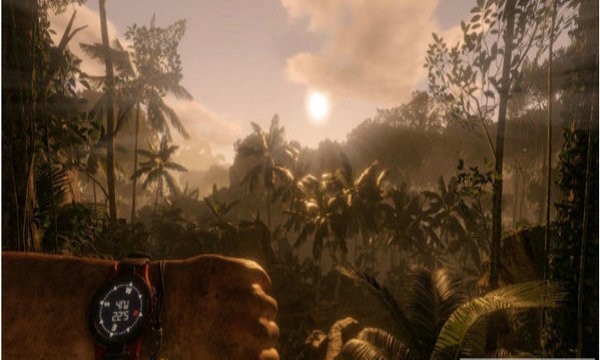 绿色森林地狱生存Forest of Green Hell Guide图3