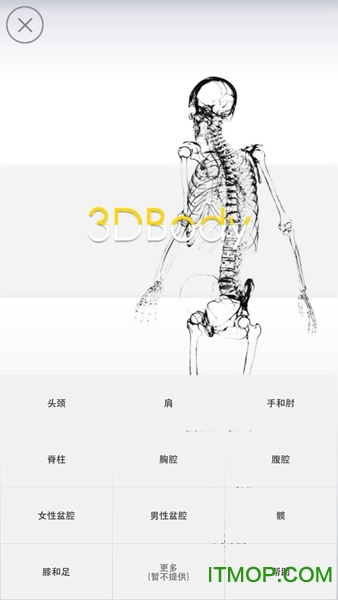 3Dbody解剖中文版 3Dbody解剖中文版
