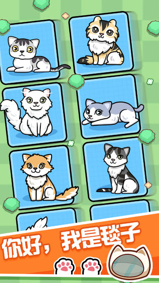 跑酷云养猫图2