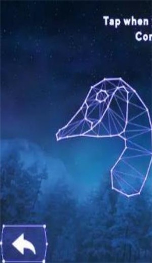 Enchanted Winterland Quest(迷人的越冬之旅)图2