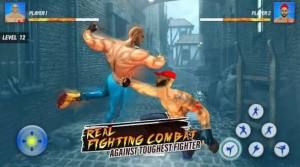 超级英雄卡拉特战士Superhero Karaty Fighter图3