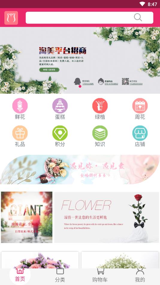 淘美鲜花图1
