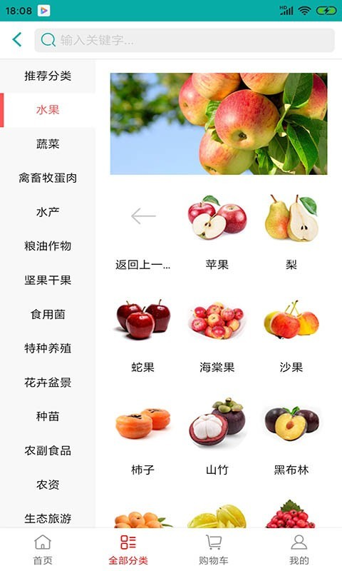 一品春风图5