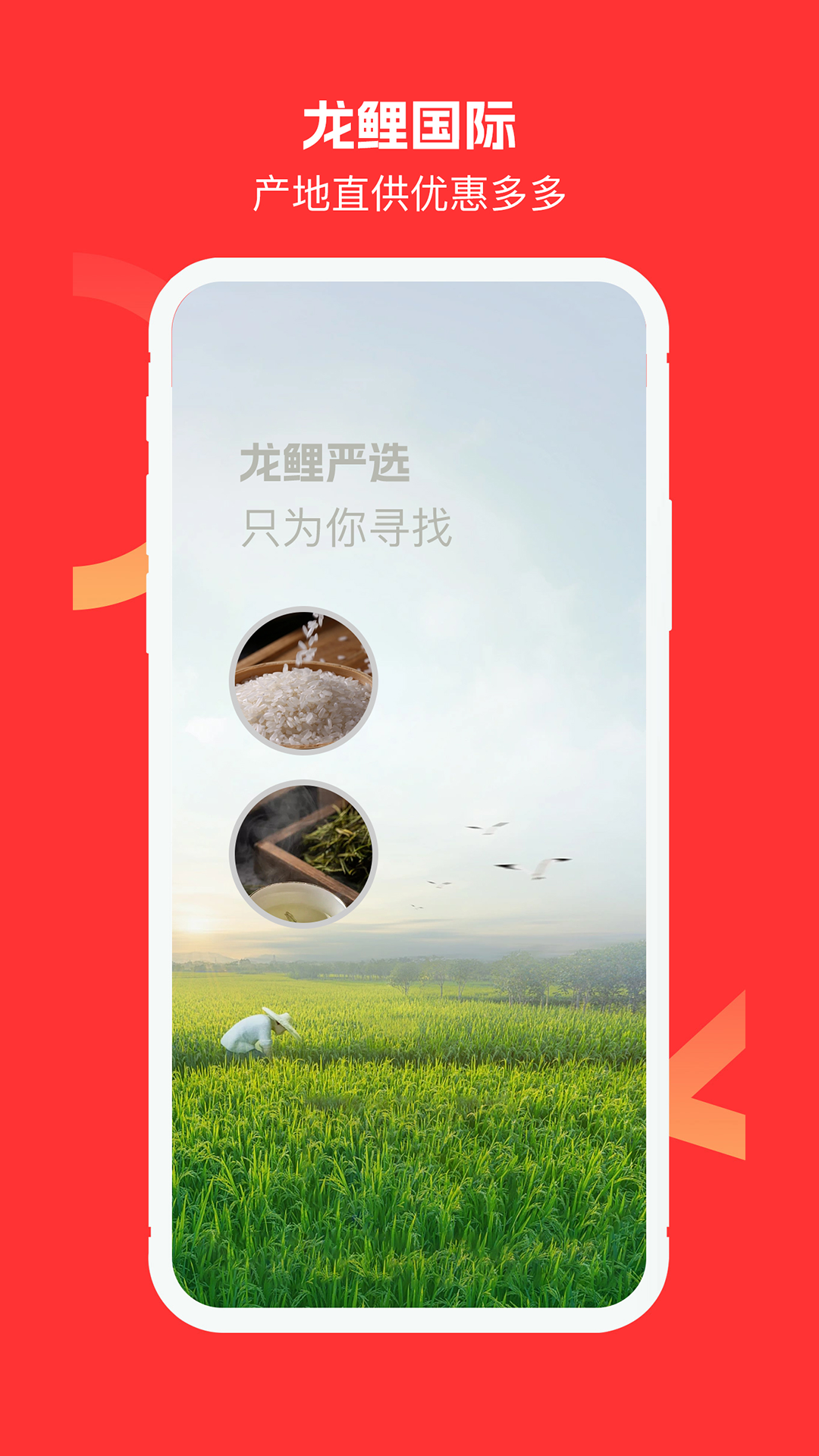 龙鲤国际图1