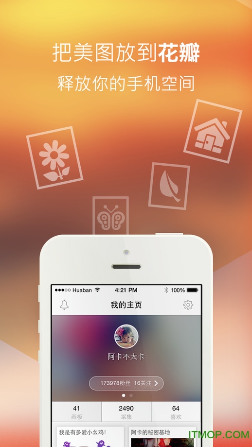 花瓣苹果版(图片社交)图1
