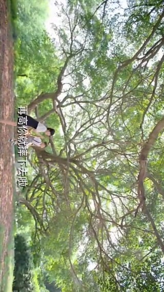 天王影音图4