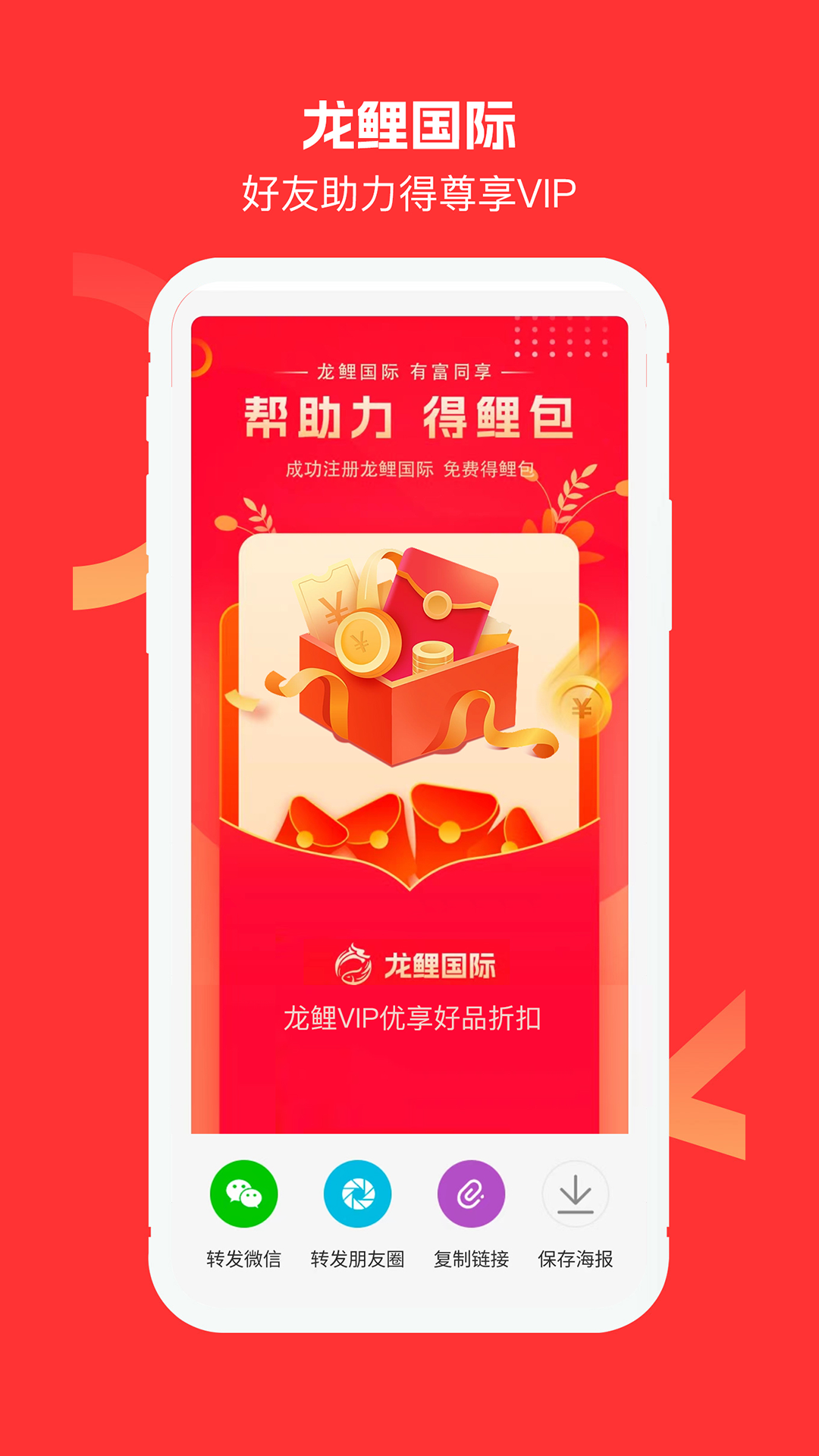 龙鲤国际图4