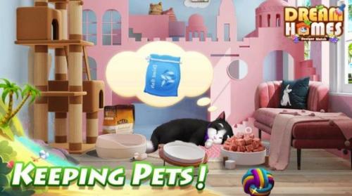 梦想豪宅Dream Homes图4