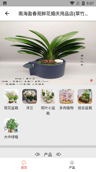 花满家图1