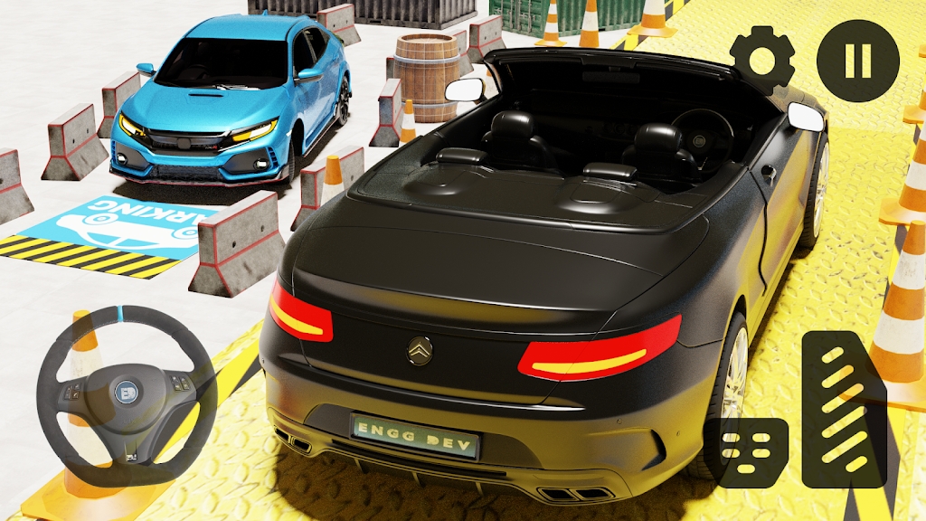 停车场专业大师(Car Parking Pro)