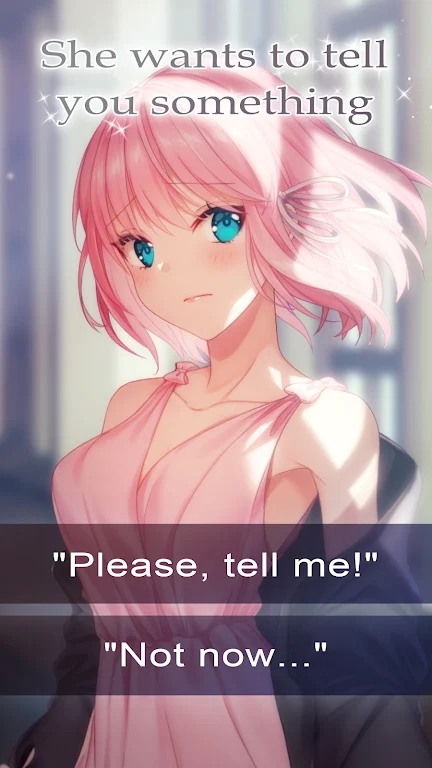 Head Over Heels(头顶高跟鞋)图2