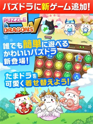 パズドラ图4