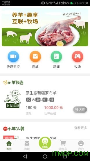 奔跑吧小羊图4
