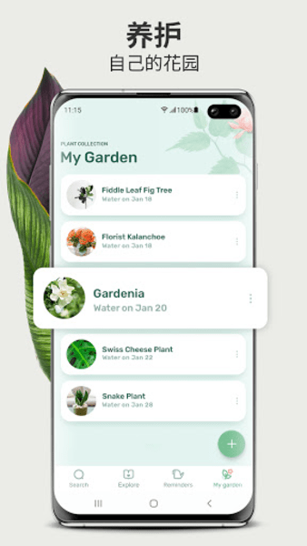 Blossom植物识别app图3