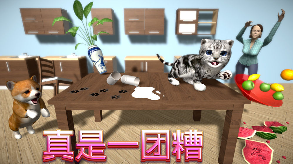 猫咪模拟图2
