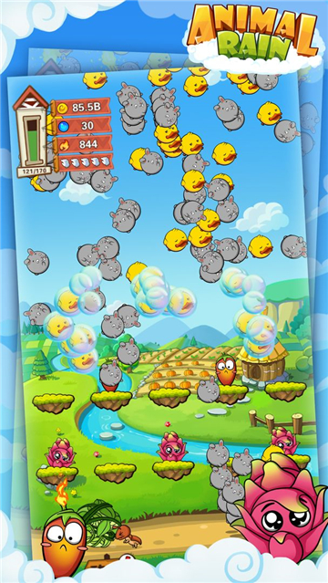 Animal Rain(动物雨)图5