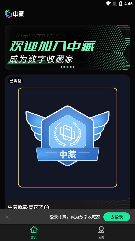 中藏