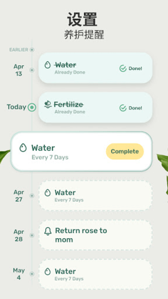 Blossom植物识别app图1