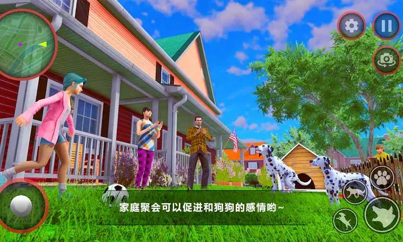 狗狗家庭陪伴图5