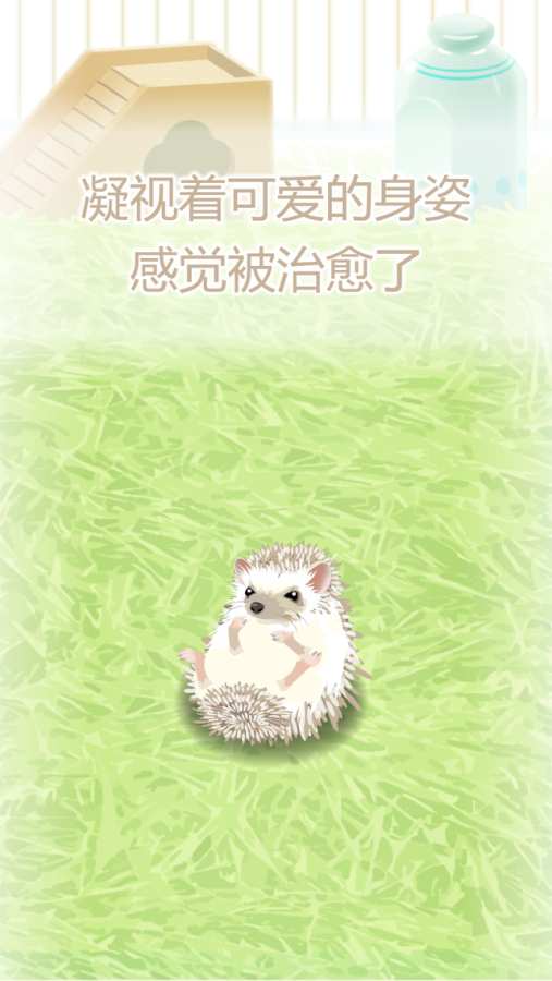 治愈的猬育成游戏图3