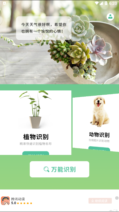花卉百科图2