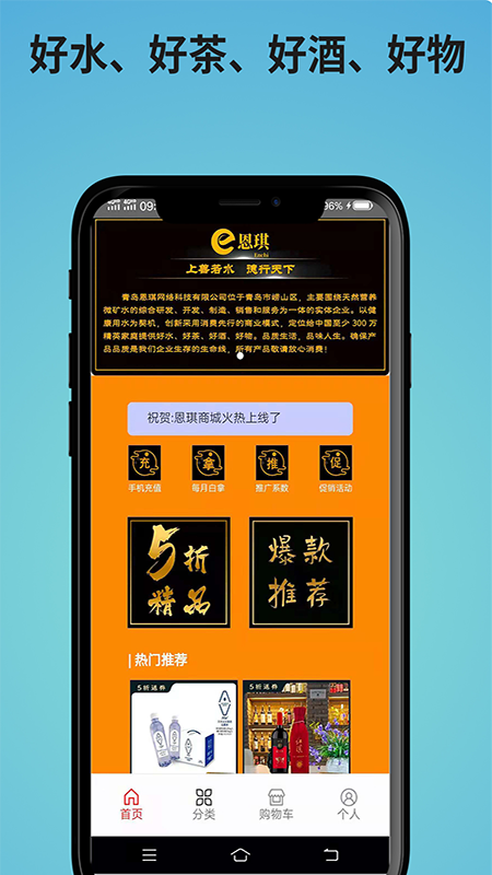 恩琪商城图4