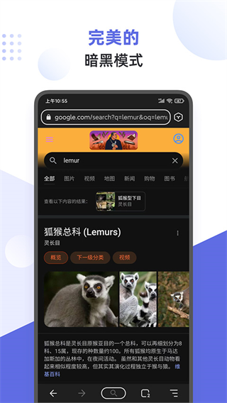 狐猴浏览器app图2