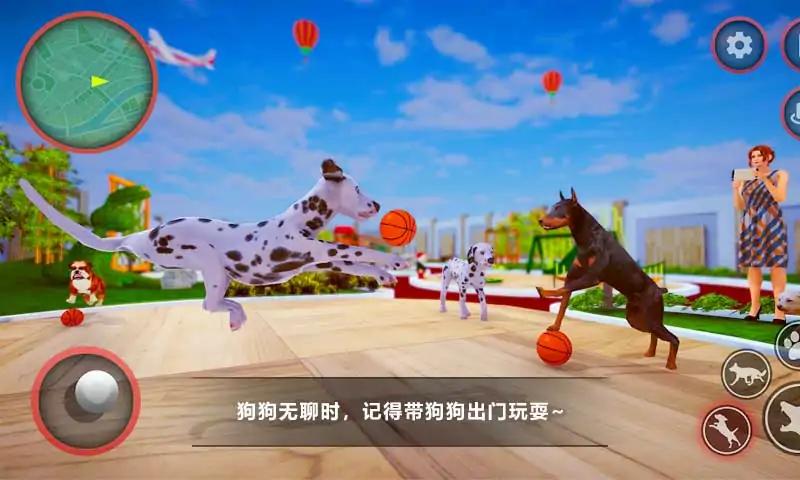 狗狗家庭陪伴图4