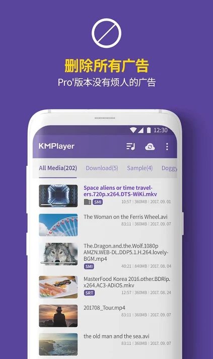 KMPlayer 4k视频播放器图1