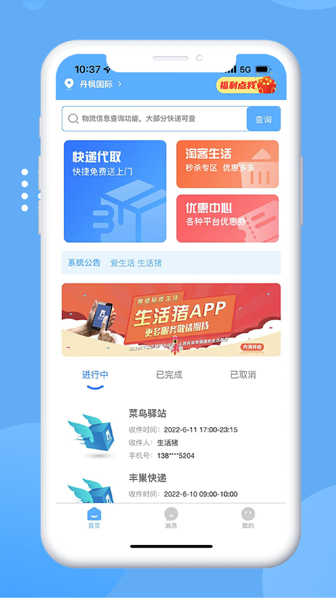 生活猪图2