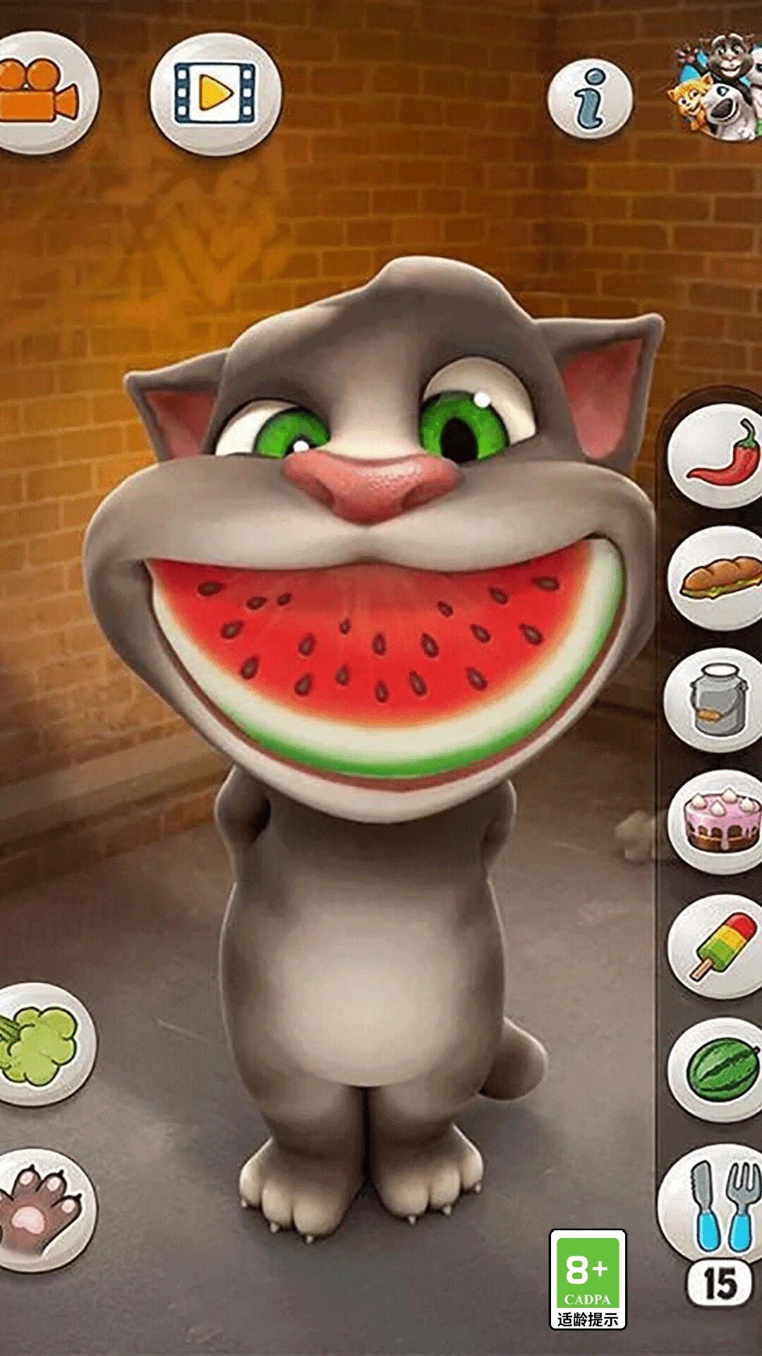 会说话的汤姆猫图3