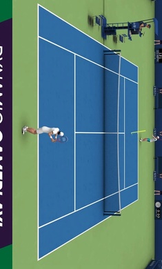 网球公开赛2021：终极3D