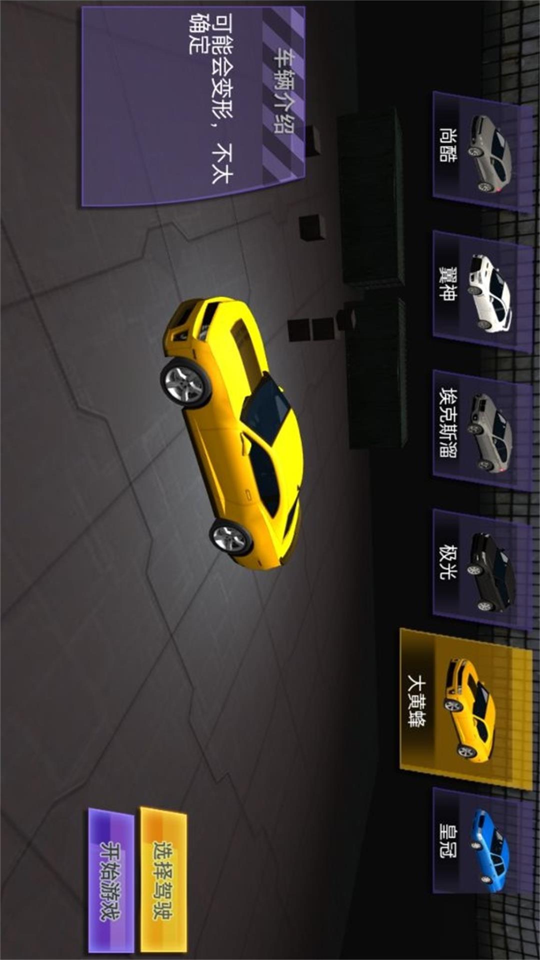 王牌极品赛车图4