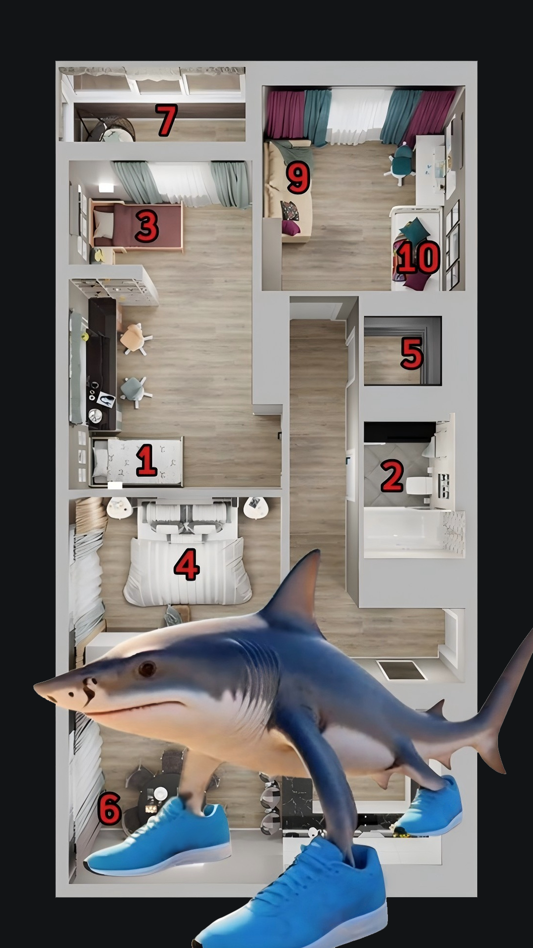 躲猫猫派对图2